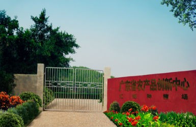 百事2集团研发基地